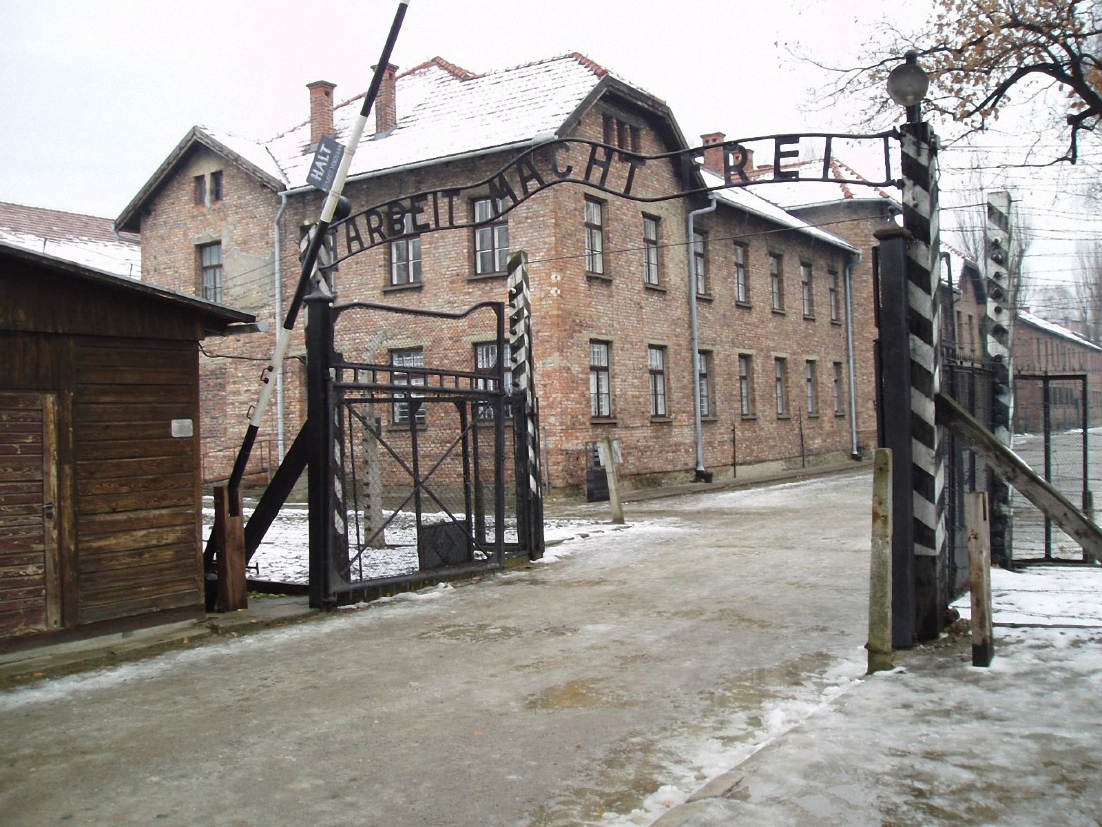 Auschwitz. 📷 Tulio Bertorini