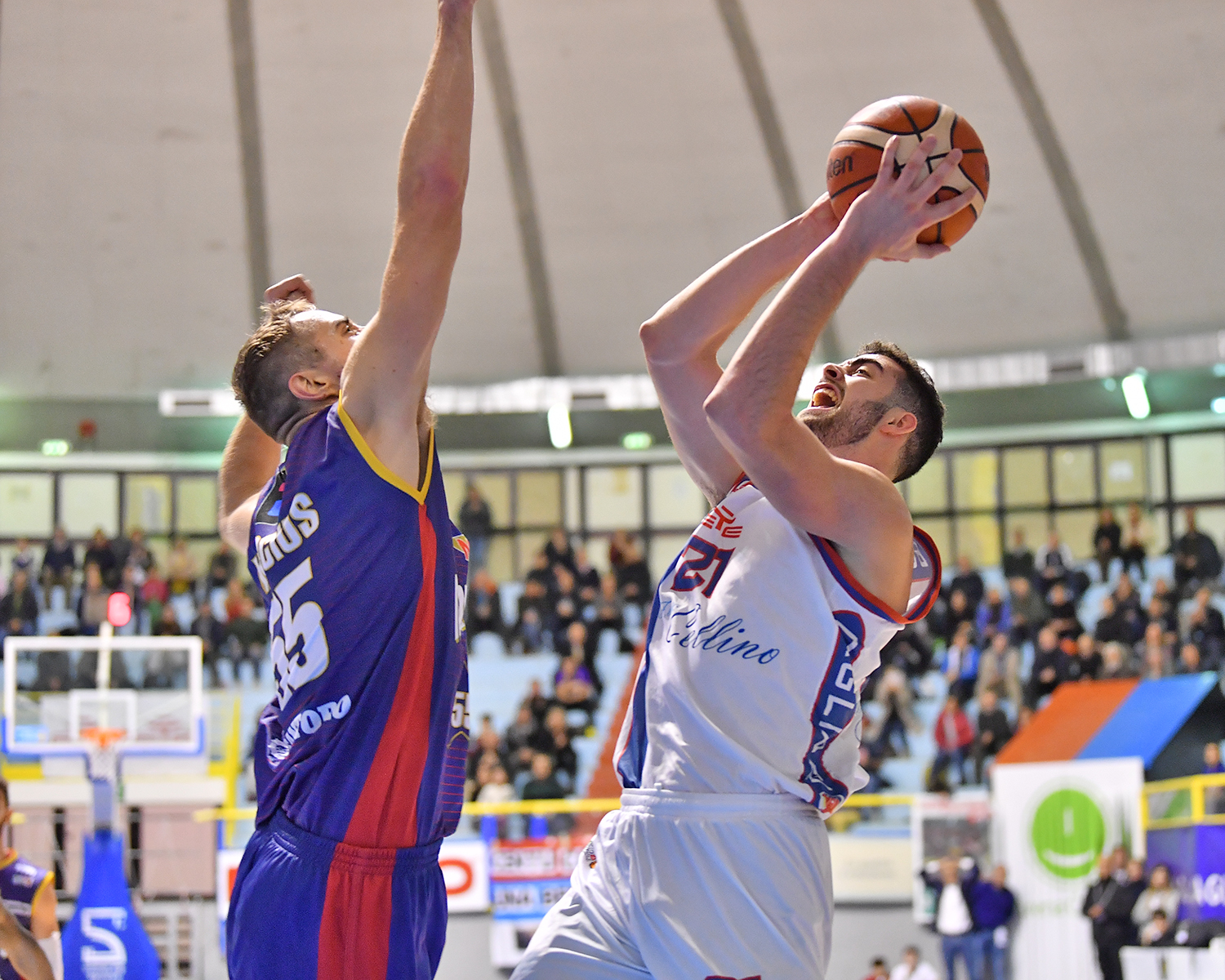 Lorenzo Bucarelli. Foto Roberto Tronci