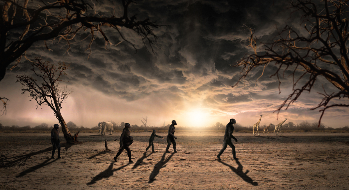 Laetoli by Dawid A Iurino