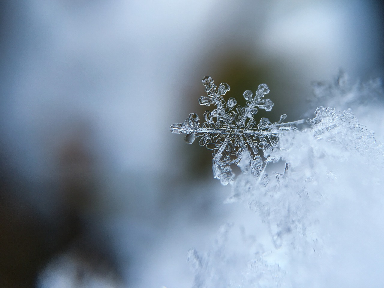 neve e gelate