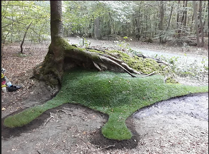 Camacci - Green Benches