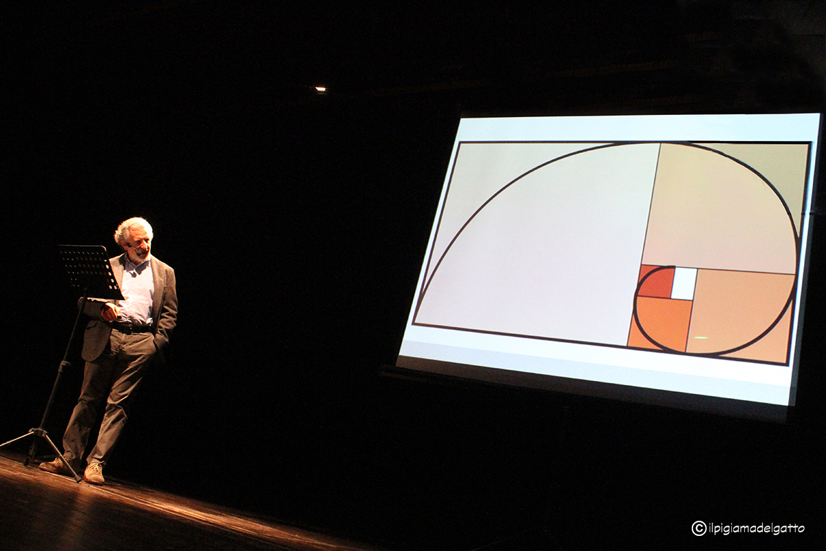 Sul cammello e all’ombra del bastone