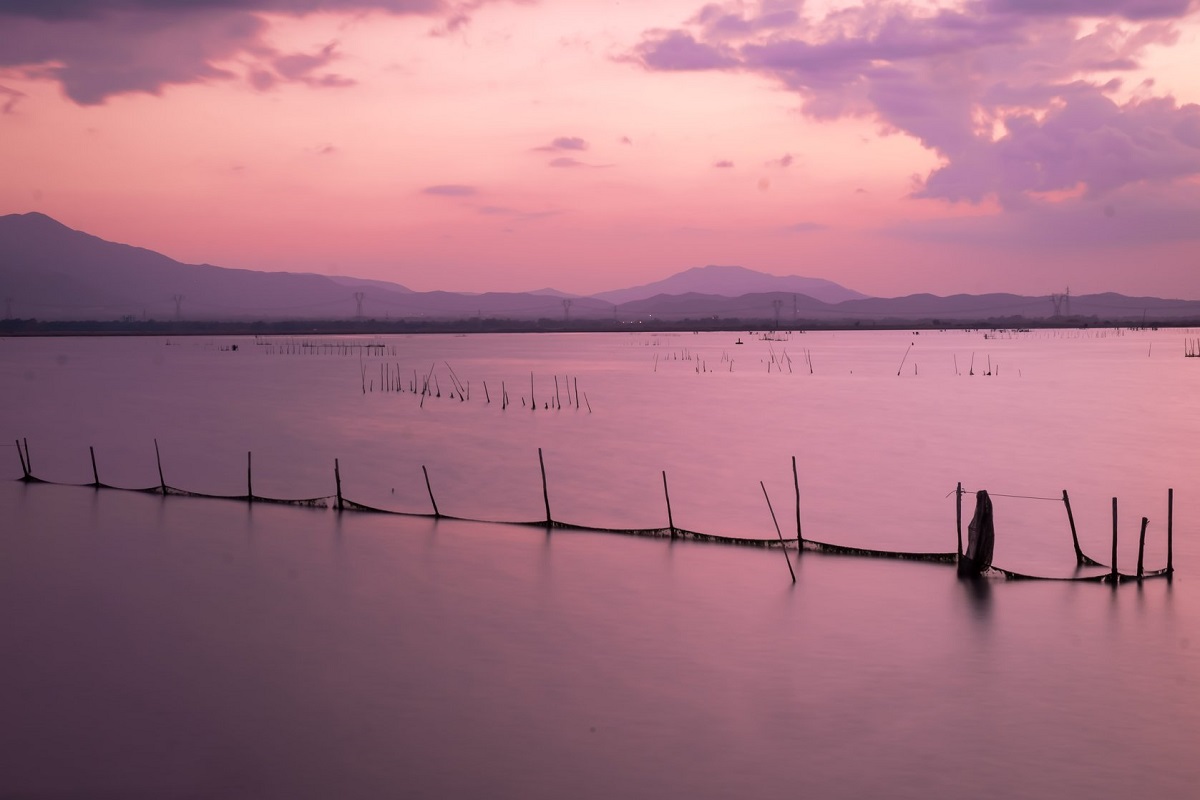 Laguna di Santa Gilla di Cagliari. Foto Marina Federica Patteri