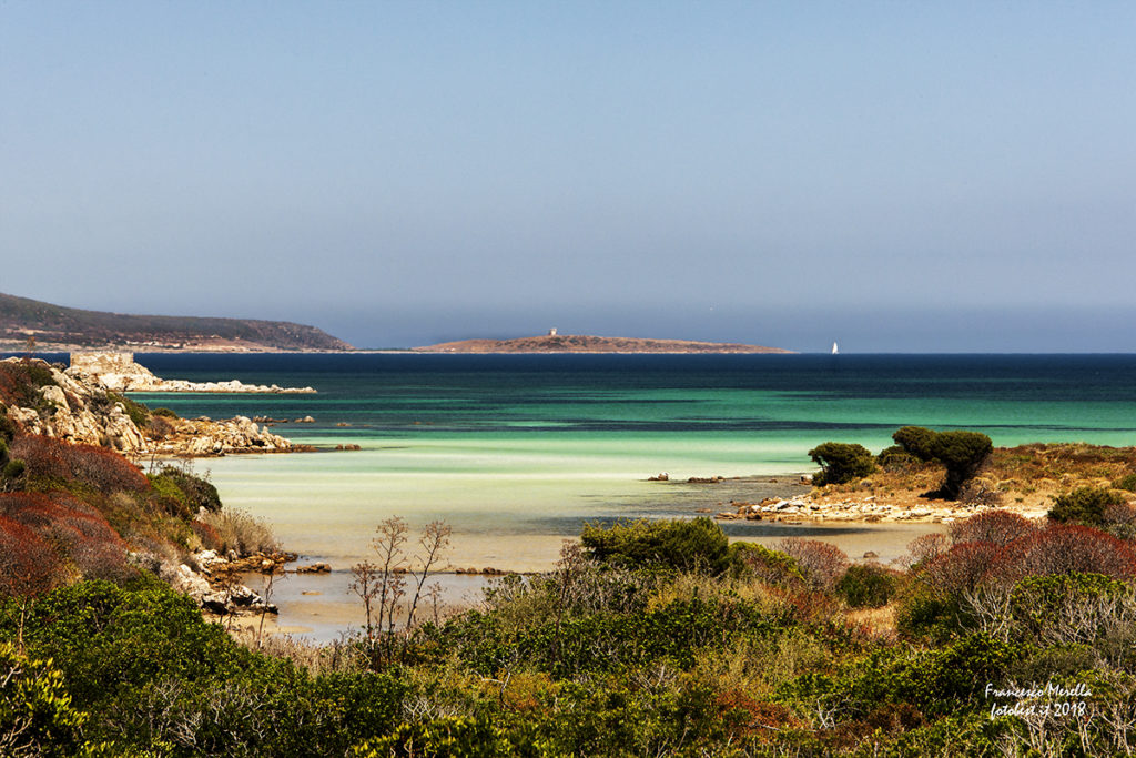 Isola dell'Asinara. ? Francesco Merella