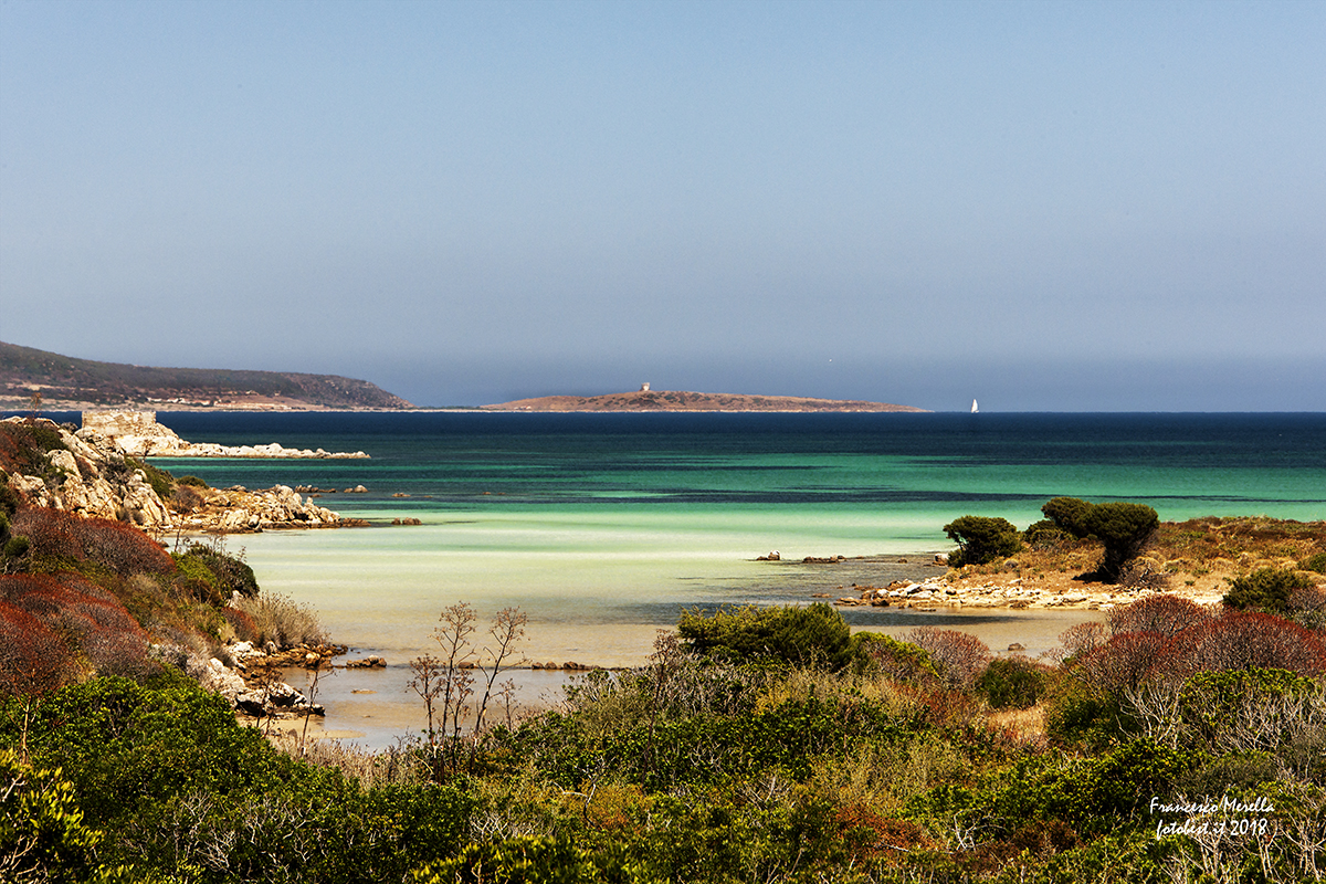 Isola dell'Asinara. ? Francesco Merella