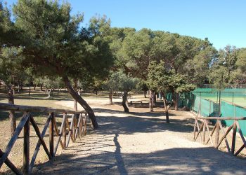 Il Parco di Monte Urpinu