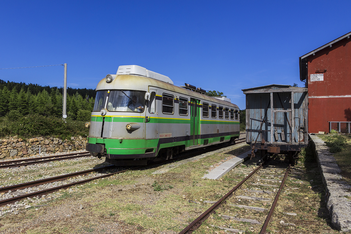 Treno Verde della Sardegna. 📷 Adobe Stock | Fabrizio Zaia
