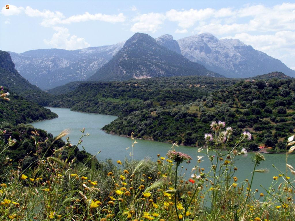 Valle del cedrino, Galtellì. ? Piscedda Odilia