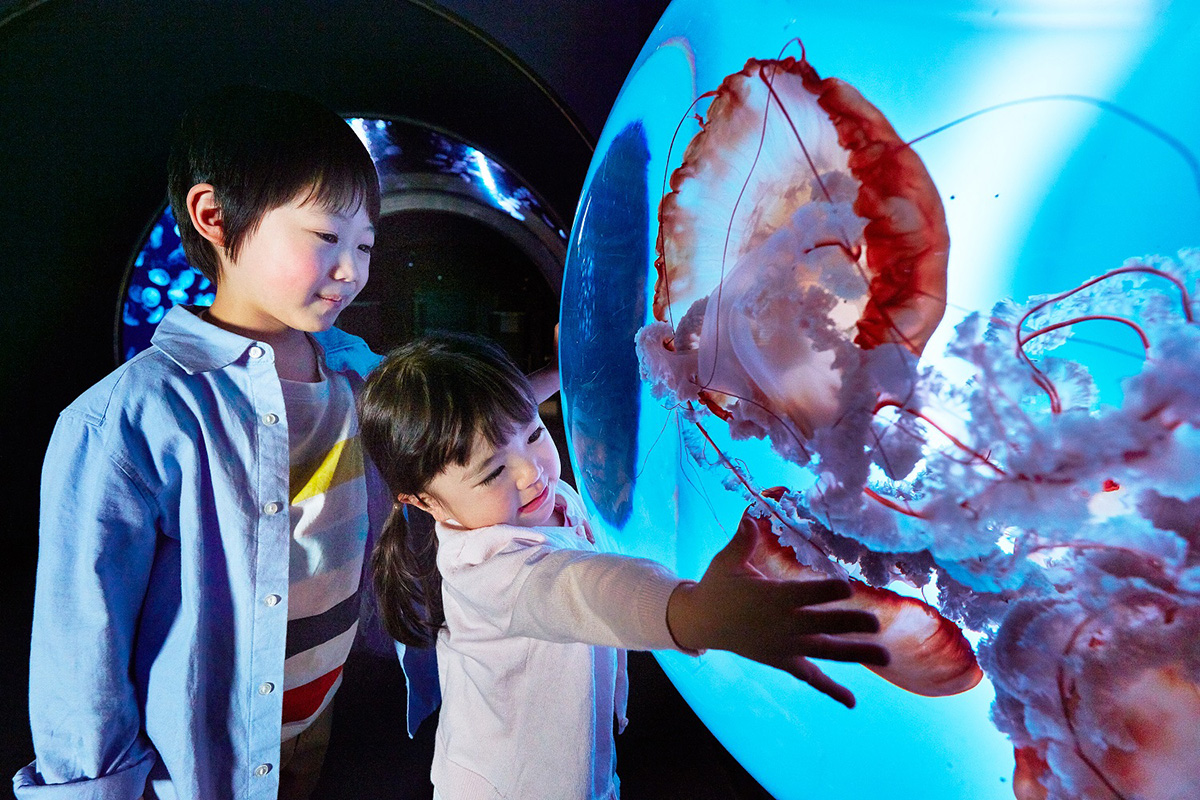 Il Sunshine Aquarium di Tokyo