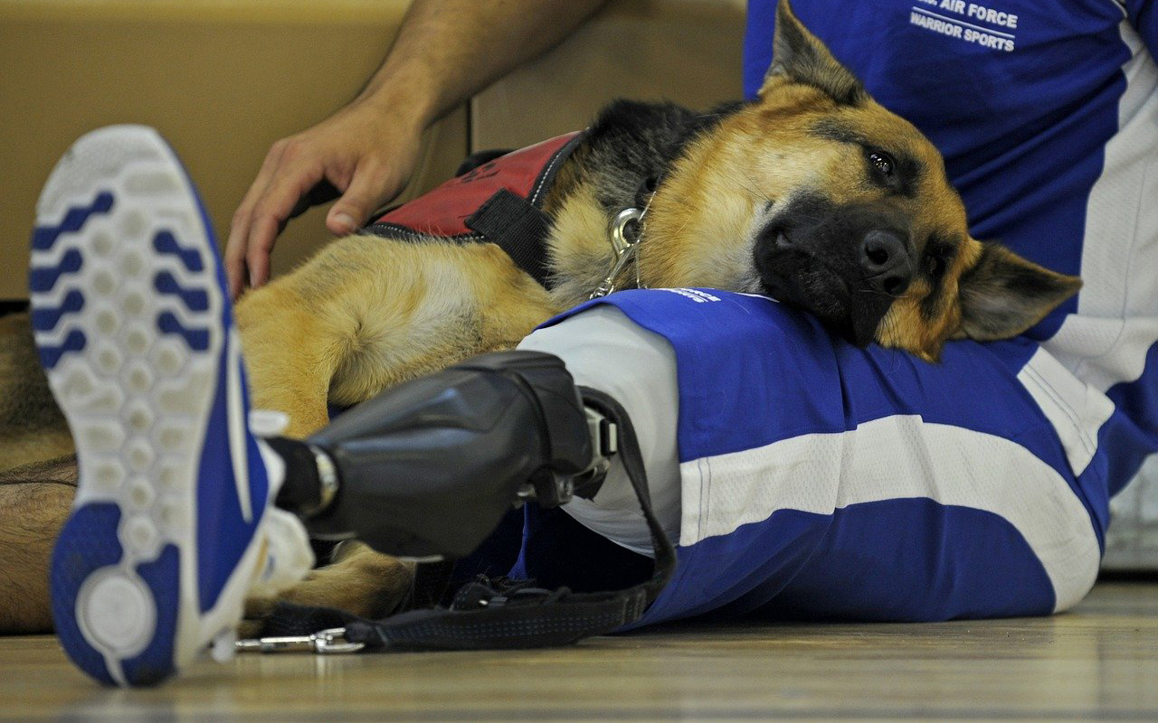 Foto skeeze | Pixabay