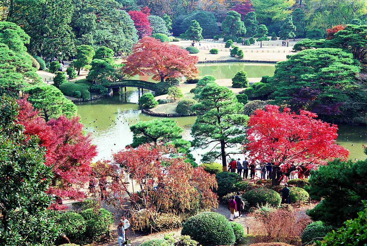Rikugien Gardens, Tokyo