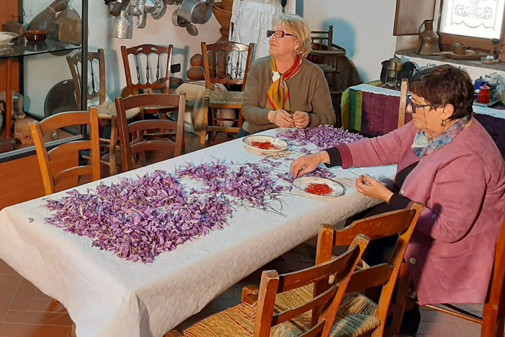 Strade dello Zafferano di Sardegna DOP
