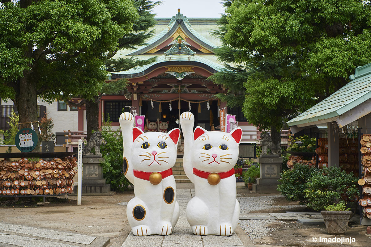 Imadojinja e i suoi maneki neko