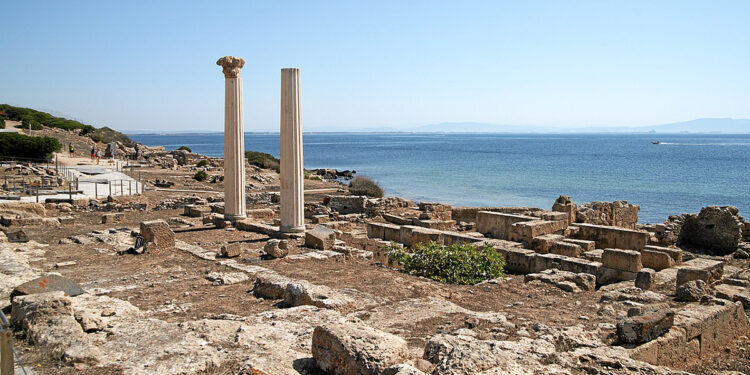 L'area archeologica di Tharros