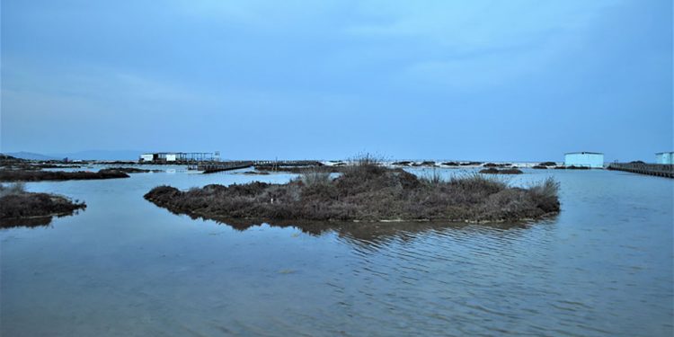 Stintino, le Saline in questi giorni
