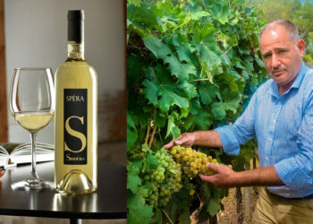Massimo Ruggero, amministratore delegato della cantina Siddùra