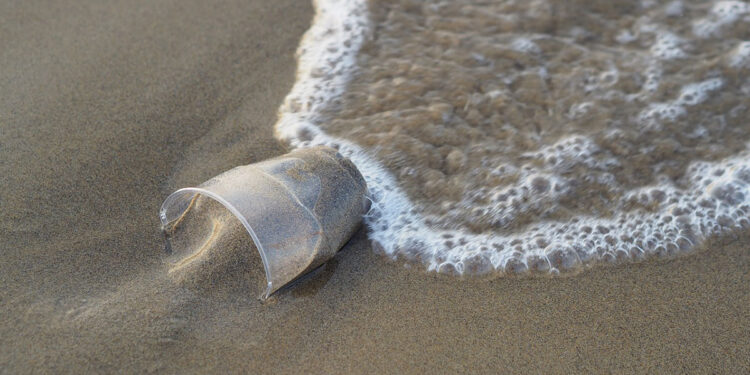 Plastica mare bicchiere. ? flockine | Pixabay