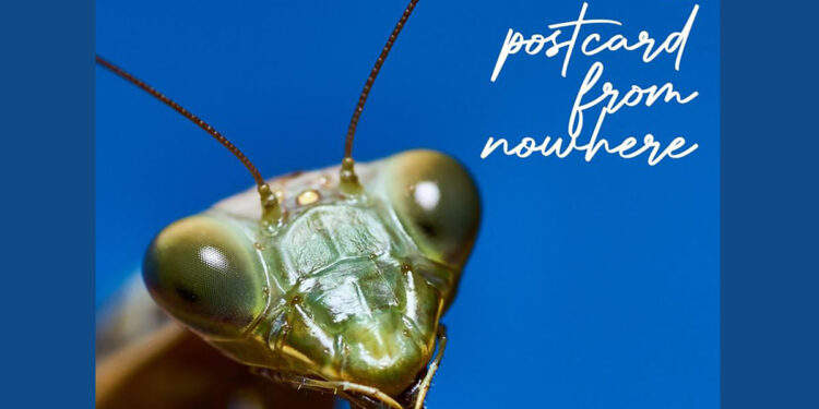 Quartetto Mantis "A postcard from nowhere"