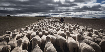 ? Adobe Stock | Carlos