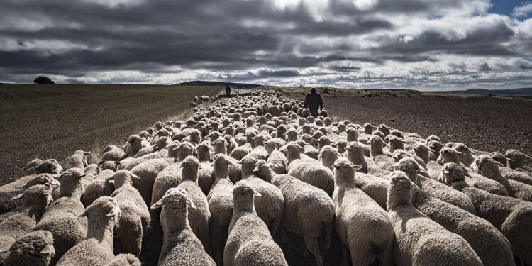 ? Adobe Stock | Carlos