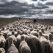 ? Adobe Stock | Carlos
