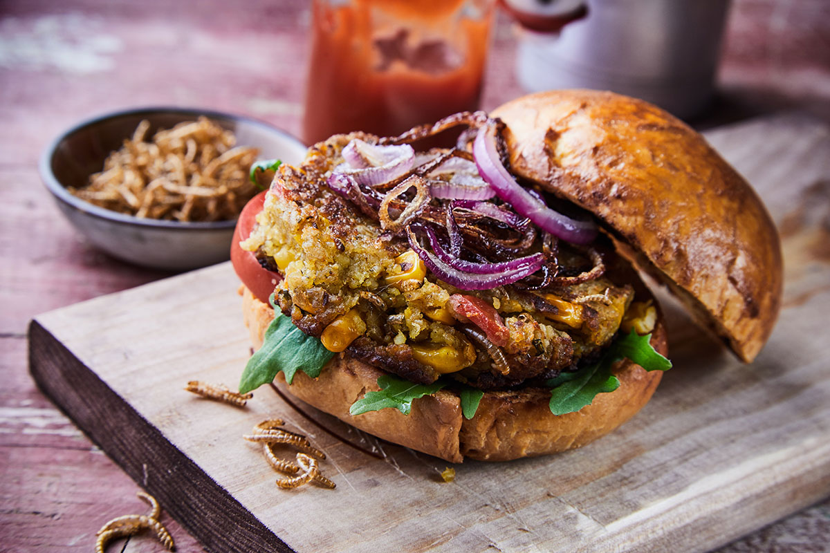 Hamburger di insetti con vermi della farina fritti. ? Adobe Stock | exclusive-design