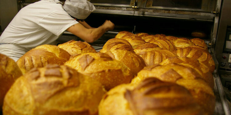 Panetteria pane fornaio