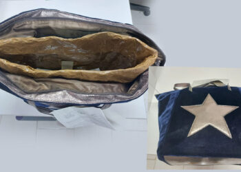 La borsa schermata utilizzata dalla ragazza per passare i controlli antitaccheggio