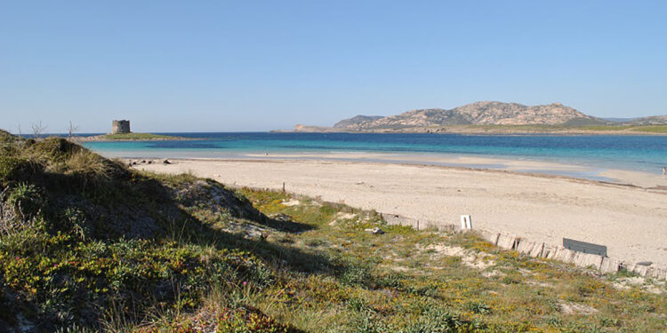 Spiaggia della Pelosa di Stintino