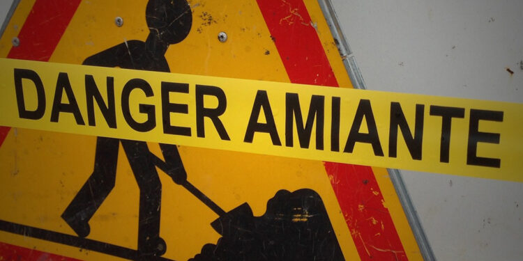 Amianto. ? Pixabay | Ennelise Napoleoni-Bianco