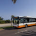 CTM Cagliari - Bus snodato Poetto express