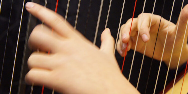 ? musikrat | Pixabay