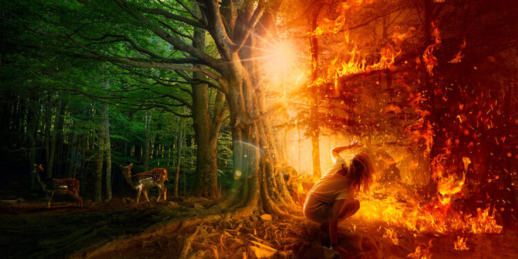 ? Adobe Stock | OSORIOartist