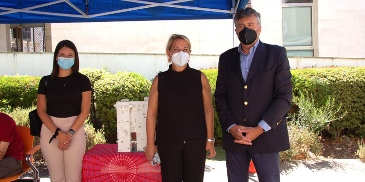 La Torre dell'Elefante in mattoncini LEGO