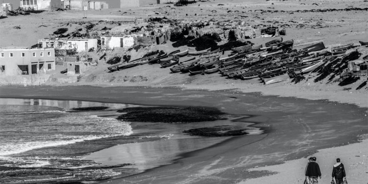 Egidio Trainito, "Le vite degli altri"