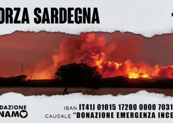 Fondazione Dinamo raccolta fondi incendi
