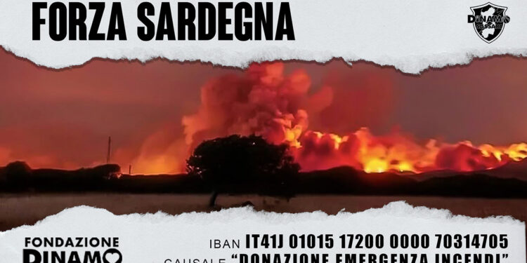 Fondazione Dinamo raccolta fondi incendi