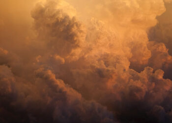 ? Daniel Gregoire | Unsplash