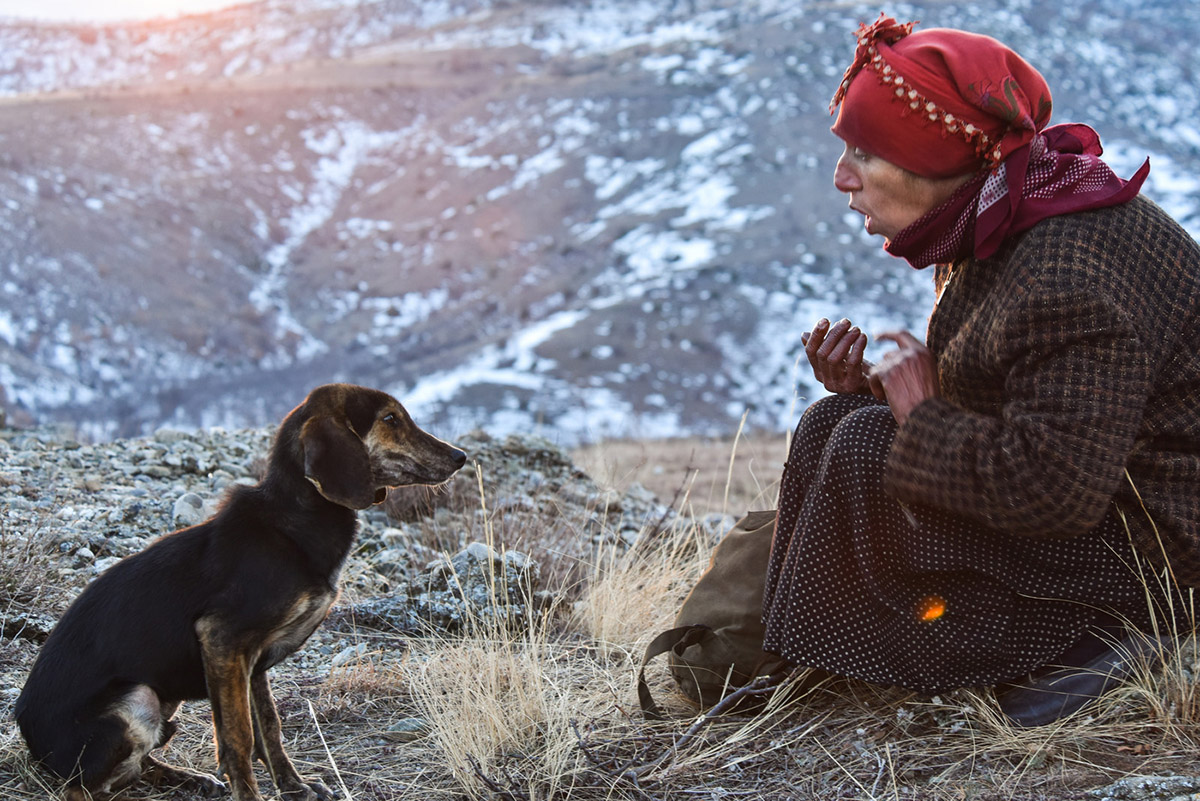 Honeyland di Ljubomir Stafanov e Tamara Kotevska