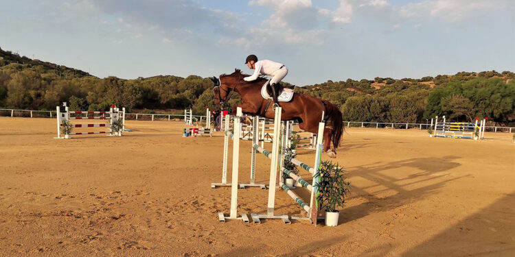 Luigi Angius su Rarità
