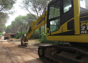 Punta Giglio cantiere sentiero