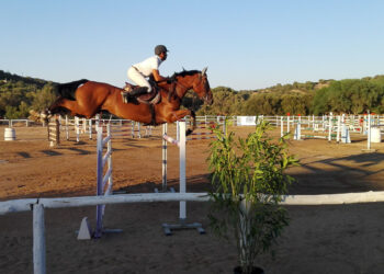 Salto ostacoli Antonio Murruzzu