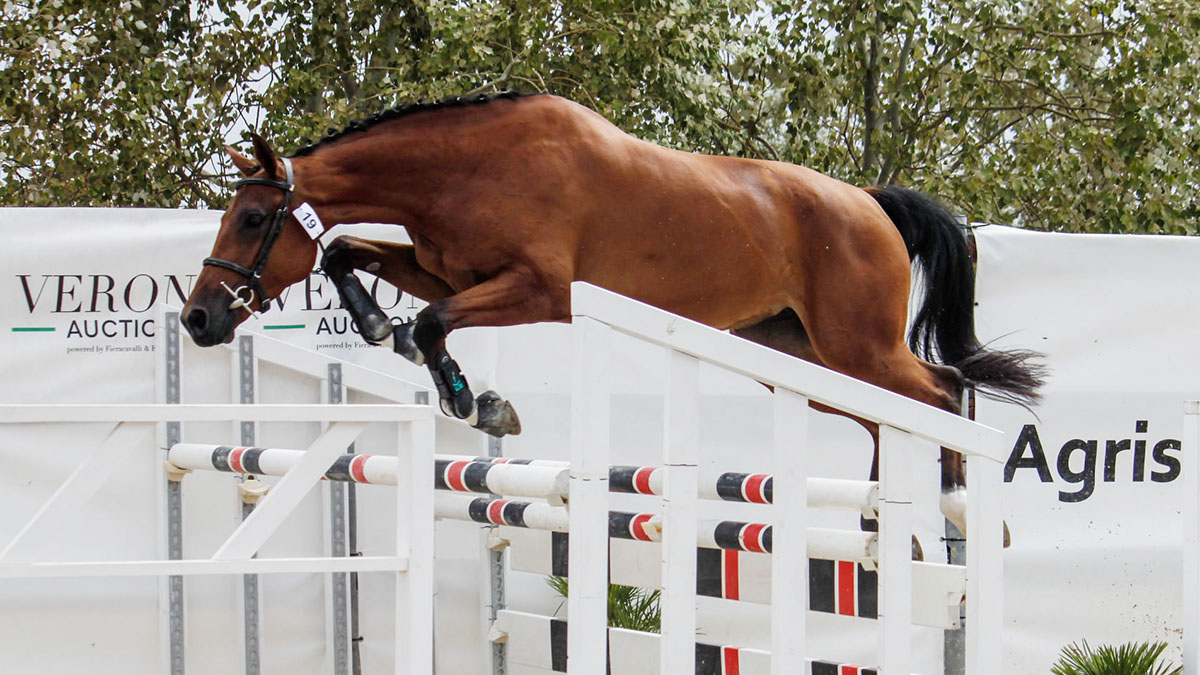 59 Premio Regionale Sardo - Un salto di cloes