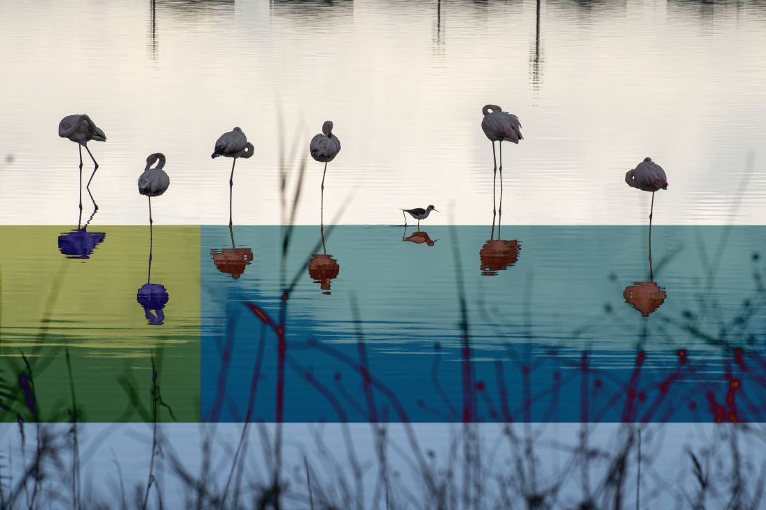 Uno scatto di Giovanni Coda