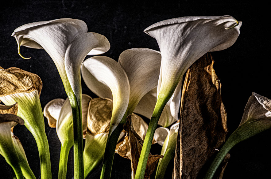 Uno scatto di Giovanni Coda