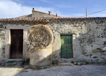 Rebeccu. ? Daniela Piras