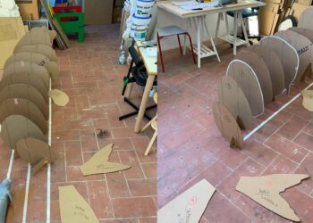 Scheletro foca monaca