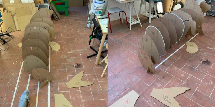 Scheletro foca monaca