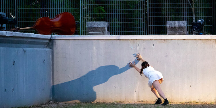 The Wall 📷 Stefano Scheda