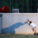 The Wall ? Stefano Scheda